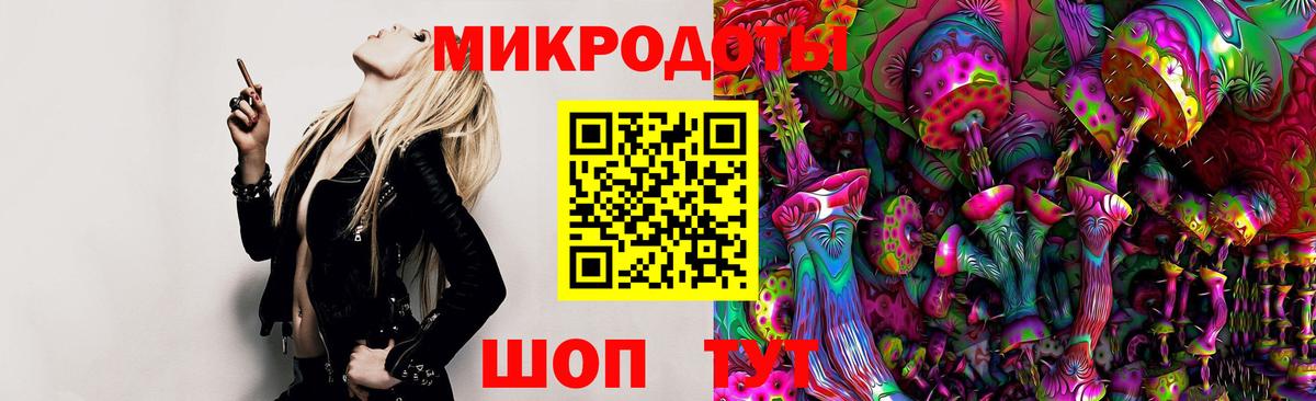 Галлюциногенные грибы Psilocybine cubensis Темрюк